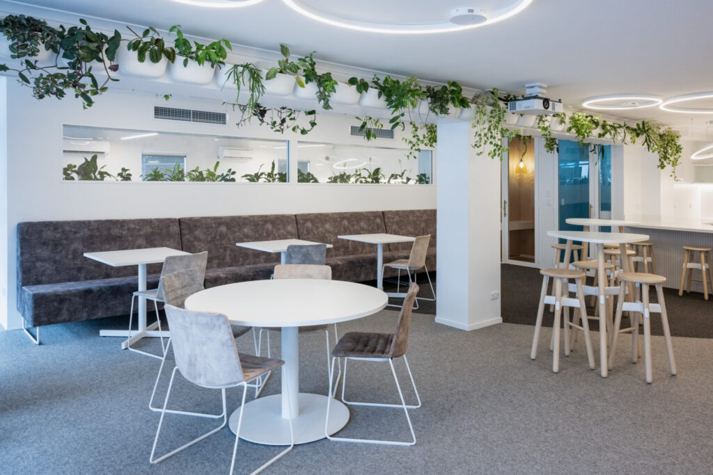 Neutral colour palette, hanging circular pendant lights and carpet flooring for this office fit out for Ray White