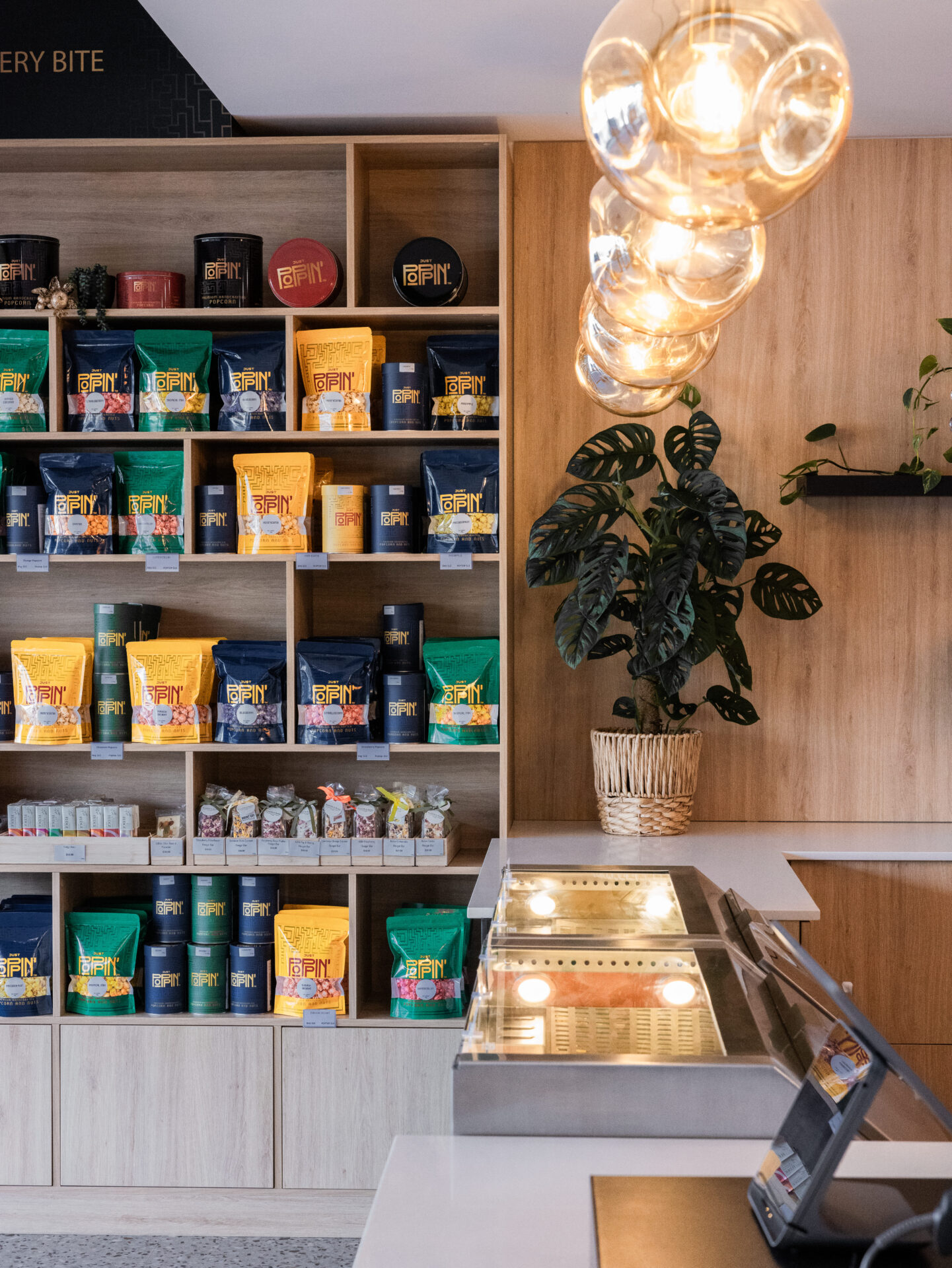 5 Things You Didn’t Know About Insurance and Liability When Getting a